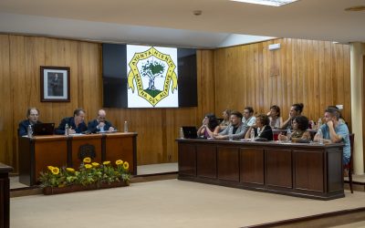 El PSOE de Mairena del Aljarafe lleva al pleno una moción en solidaridad con Palestina