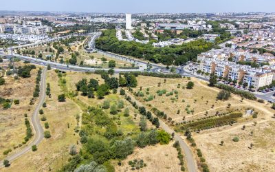 El proyecto de ciudad del PSOE logra 9 millones de fondos europeos para la modernización de Mairena