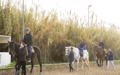 El Gobierno de Conde sigue asumiendo retos educativos que el Gobierno andaluz del PP abandona