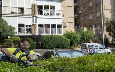 El grupo socialista impulsa unos presupuestos para seguir transformando Mairena con más inversión en servicios públicos, economía y apoyo a las familias